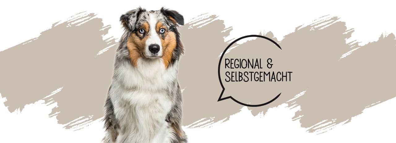 Australian Shepherd auf hellem Hintergrund — Regional & Selbstgemacht