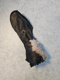 Schafohren mit Fell — Bunz No.1